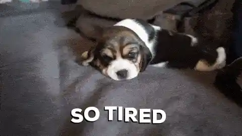 Puppy lying down with the text 'SO TIRED'