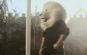 Man wearing lion mask giving a thumbs up