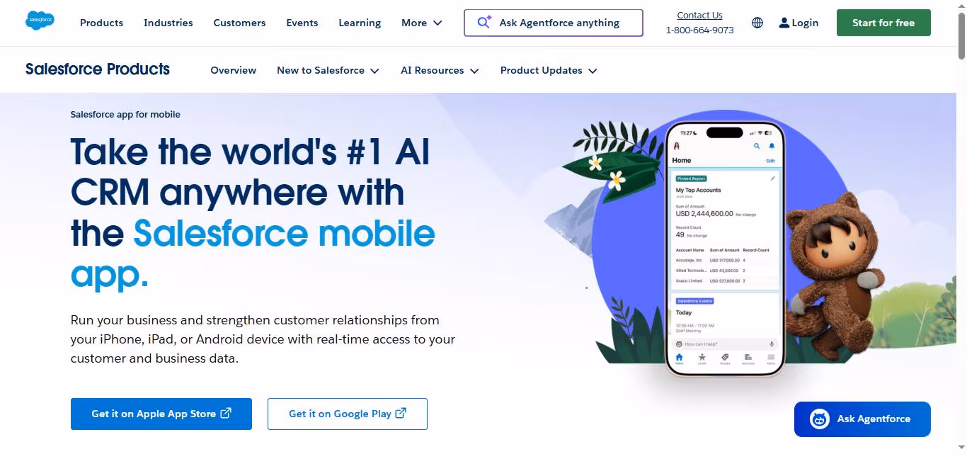 Salesforce mobile app interface with a bear mascot