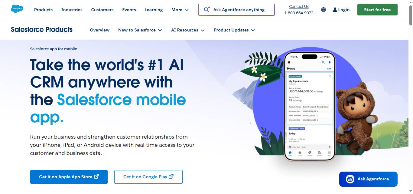 Salesforce mobile app interface with a bear mascot