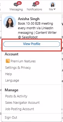 A LinkedIn menu showing the option to View Profile.