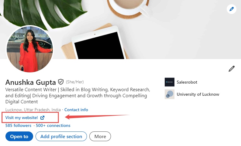Custom button on personal LinkedIn profile