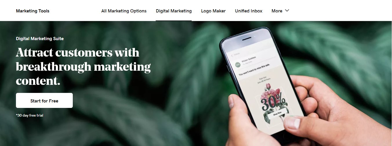 GoDaddy digital marketing page