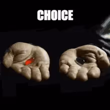 You have two options to change the default connect button to follow.