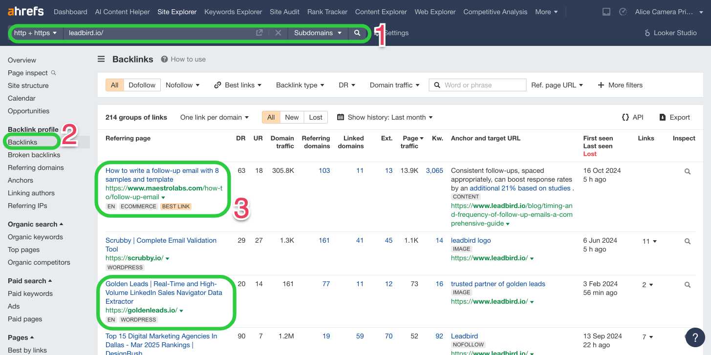 Backlink analysis tool interface.