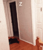 Head door gif