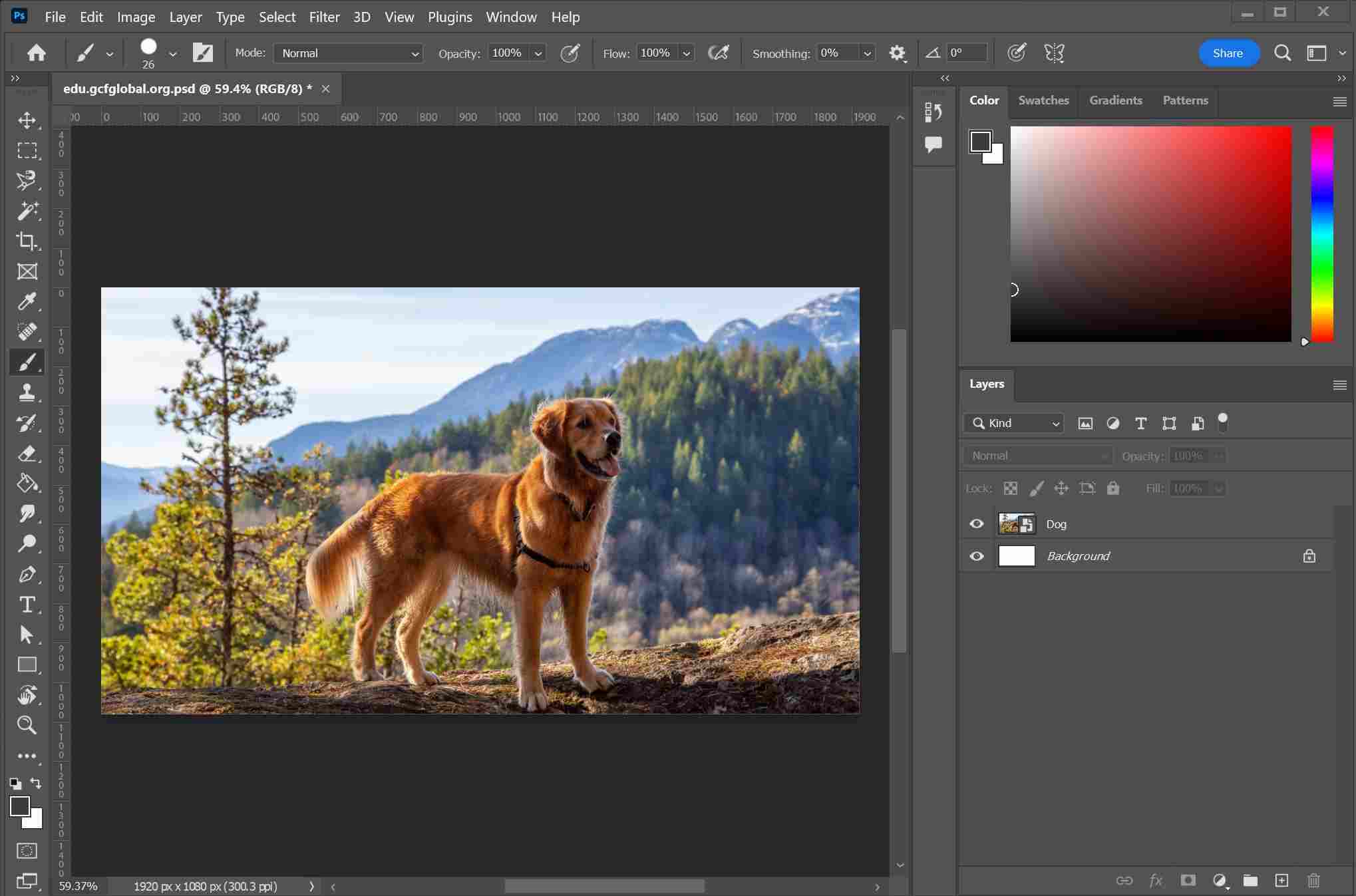Photoshop editing section