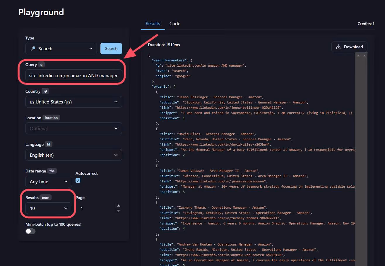 Serper enter search query field