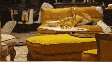 Cat popping up
