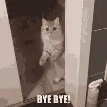 A sepia-toned image of a cat with text overlay that says 'BYE BYE!'