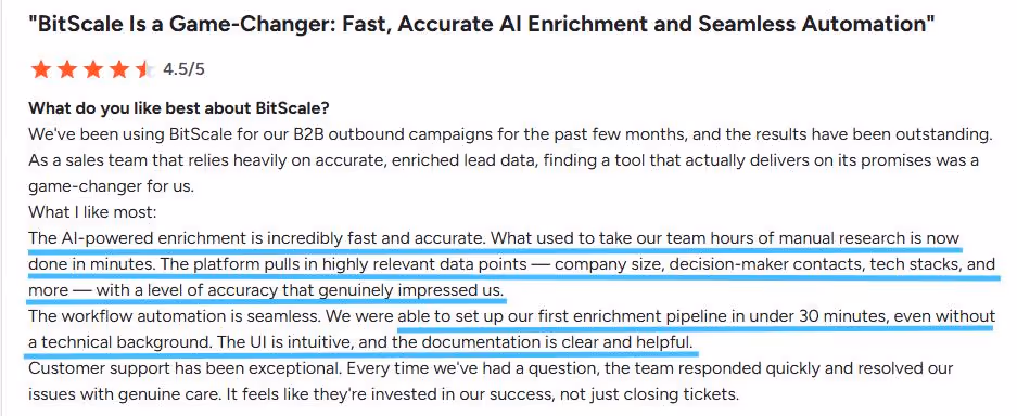  Review snippet titled "BitScale is a Game-Changer: Fast, Accurate AI Enrichment and Seamless Automation