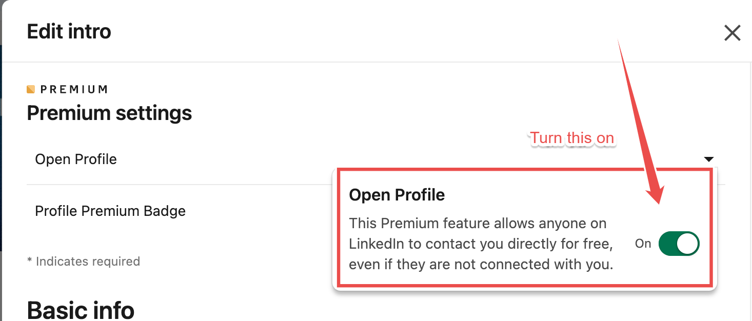 Open profile option in LinkedIn settings