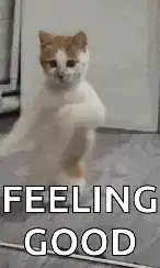 A cat is dancing and the text says "FEELING GOOD".