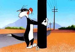 Sylvester the Cat hugging a utility pole.