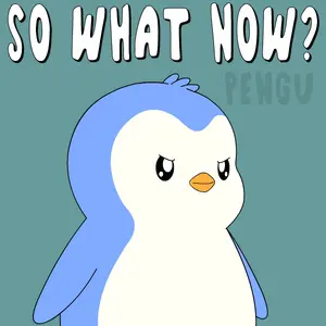 A cartoon penguin with a grumpy expression asks "So what now?"