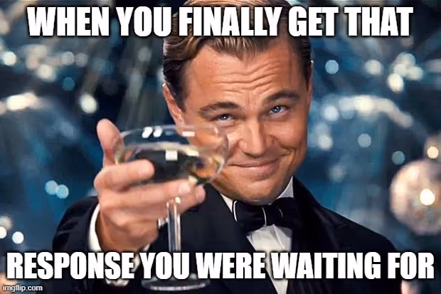  Leonardo DiCaprio raising a toast with champagne, with the text "WHEN YOU FINALLY GET THAT RESPONSE YOU WERE WAITING FOR" 