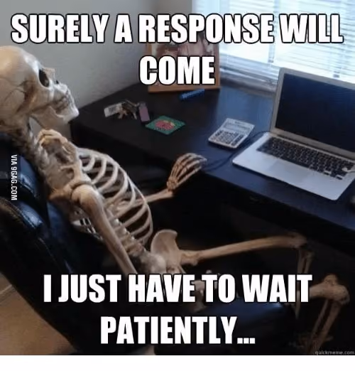 A skeleton sitting at a desk in front of a laptop, with the text "SURELY A RESPONSE WILL COME I JUST HAVE TO WAIT PATIENTLY.