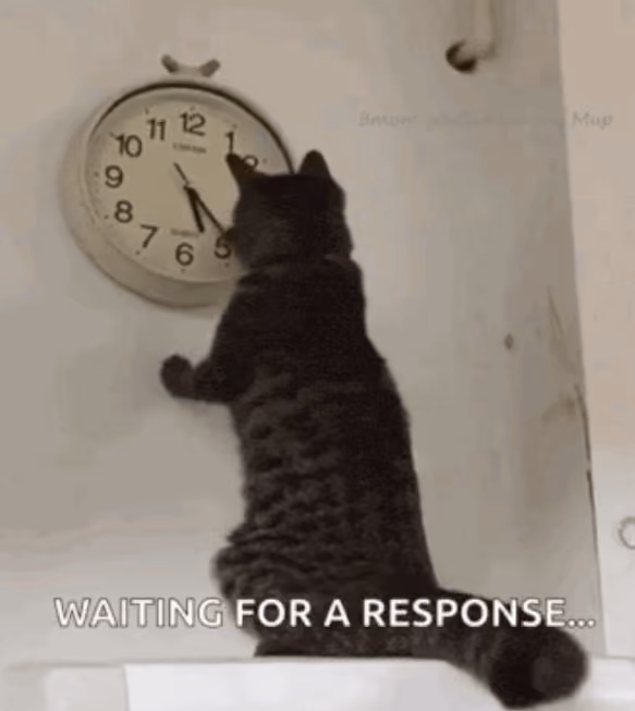 A black cat stands on its hind legs looking at a wall clock with text that says 'WAITING FOR A RESPONSE...'.