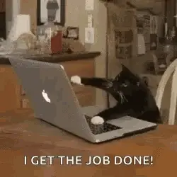 A meme featuring a cat wearing glasses and typing on a laptop with the text "I GET THE JOB DONE!".