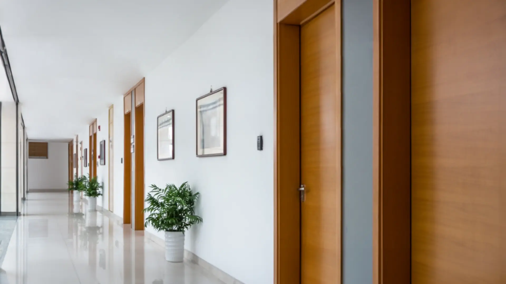 Door Painting