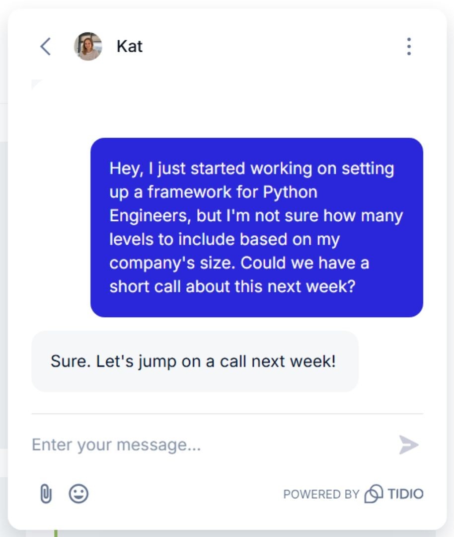 Tidio chat screenshot showing a user asking about setting up a Python engineering framework and scheduling a call.