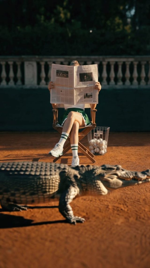 Crocodile crossing the court