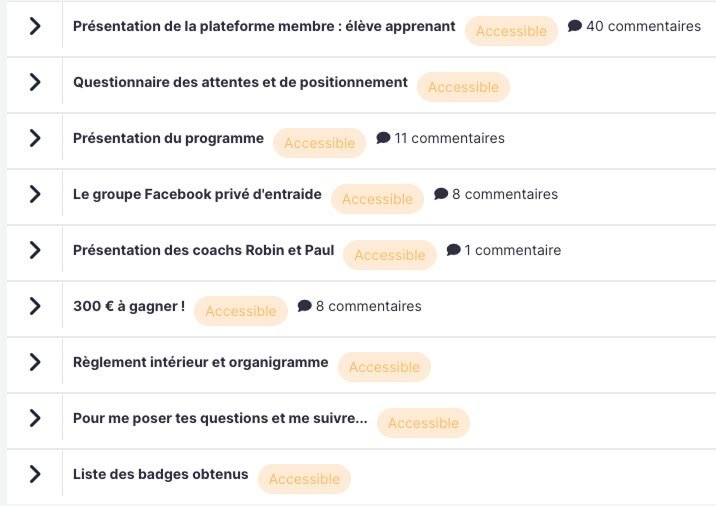 Sommaire du module d’introduction de la formation Immo Academy de Rémi Roche : présentation de la plateforme, coachs et communauté.