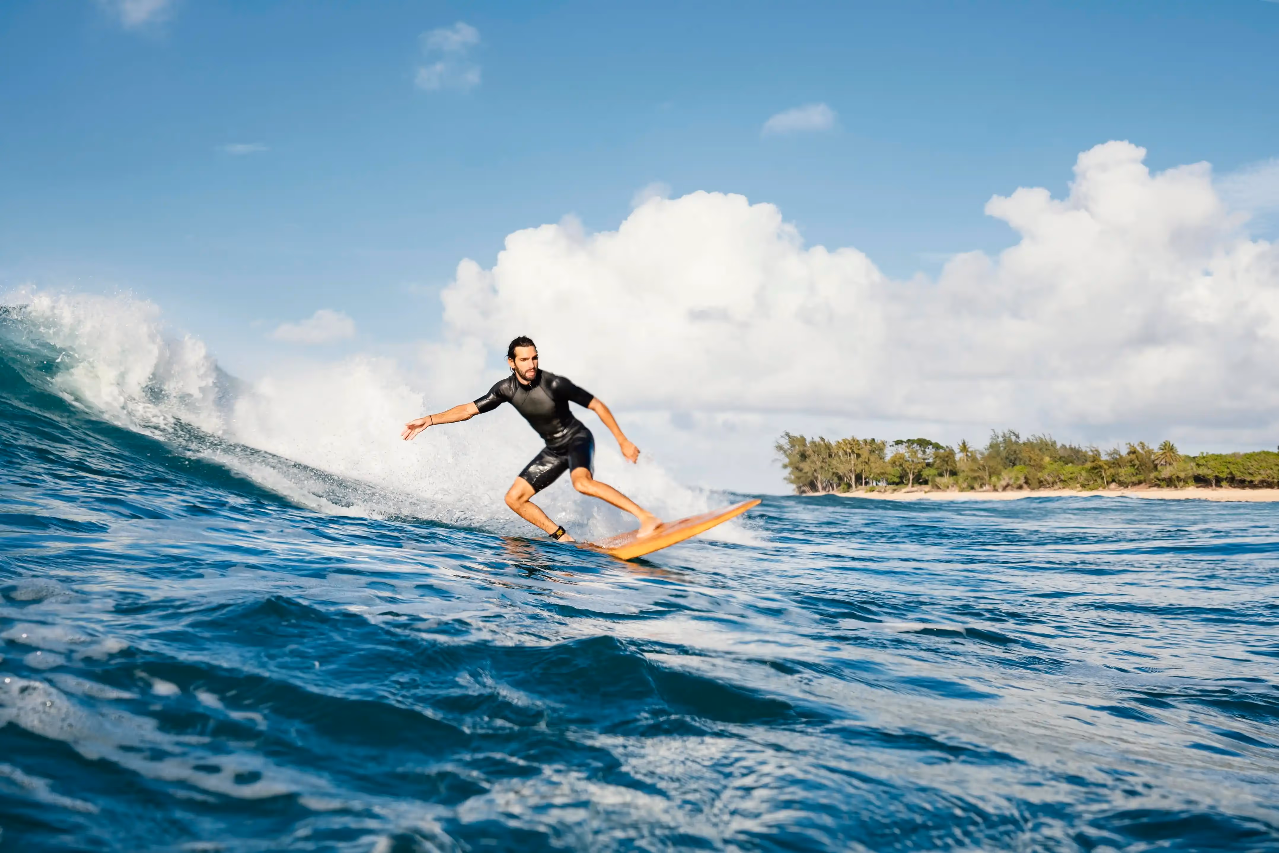 SurfEar Products