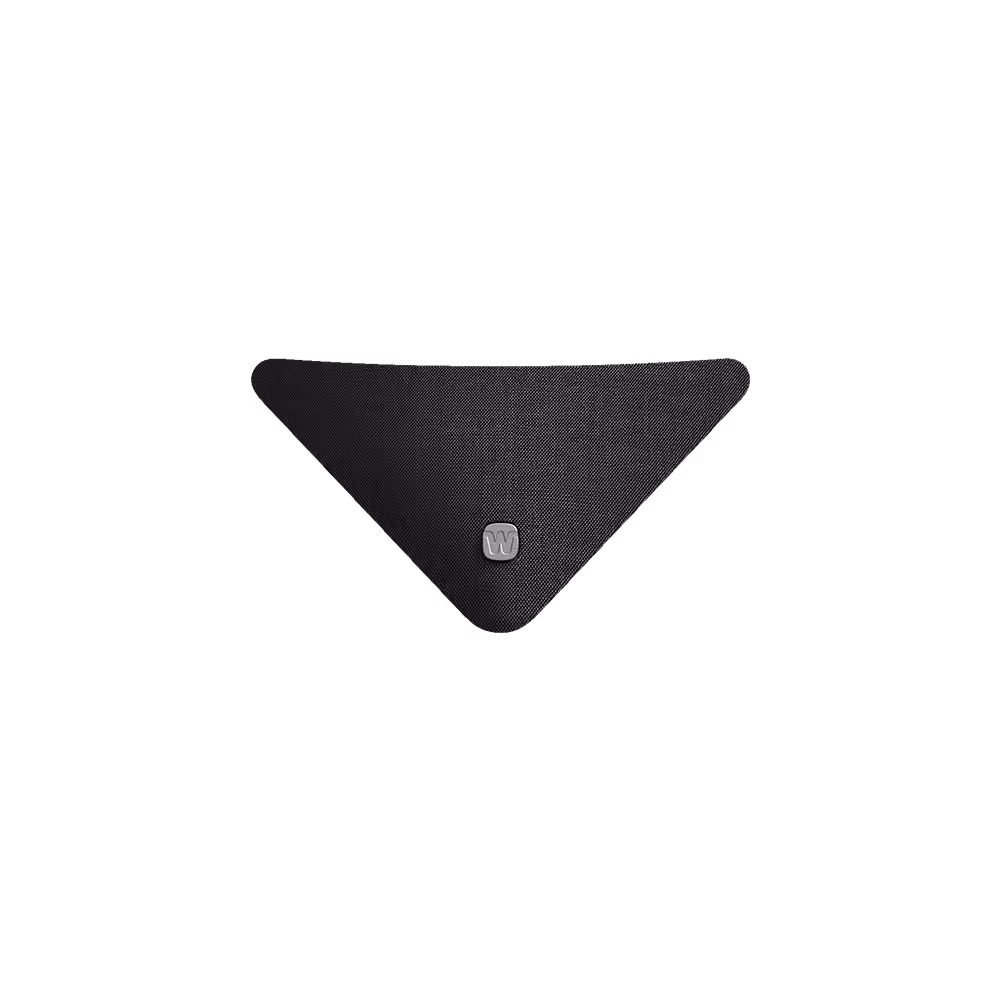 Widex TV Play 2