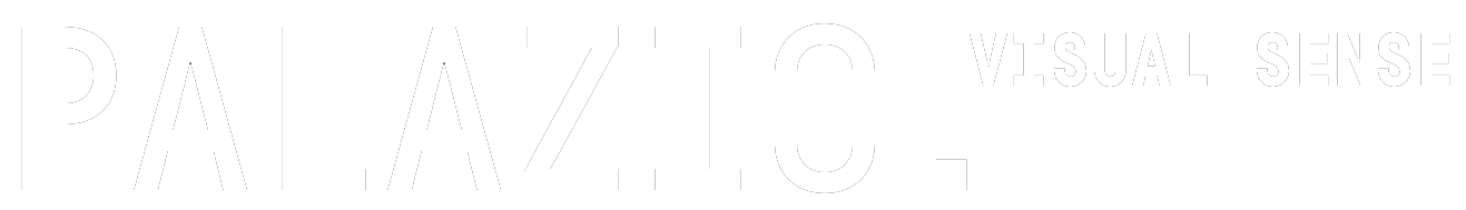Logo reading 'PALAZIO VISUAL SENSE' in a modern, minimalist font.