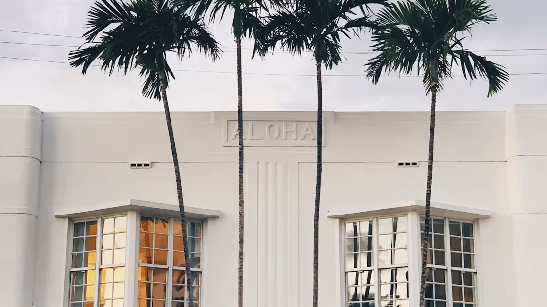 An image of a white building with palm trees infront
