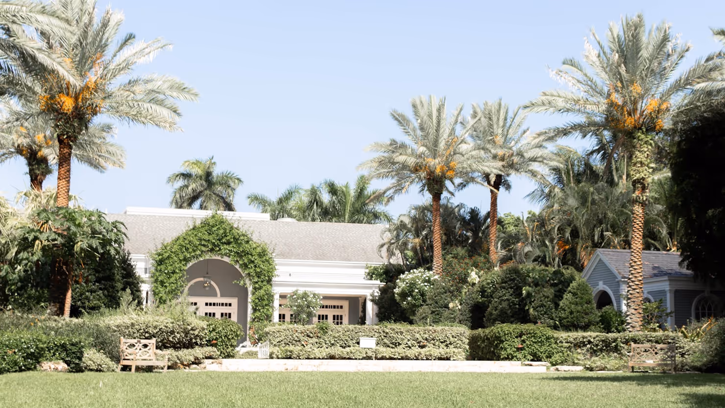 Beautiful house with a lot of palm trees around it