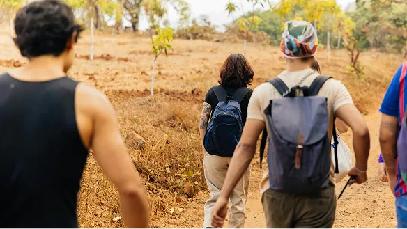 Safari activities including game drives, walking safaris, and wildlife photography experiences