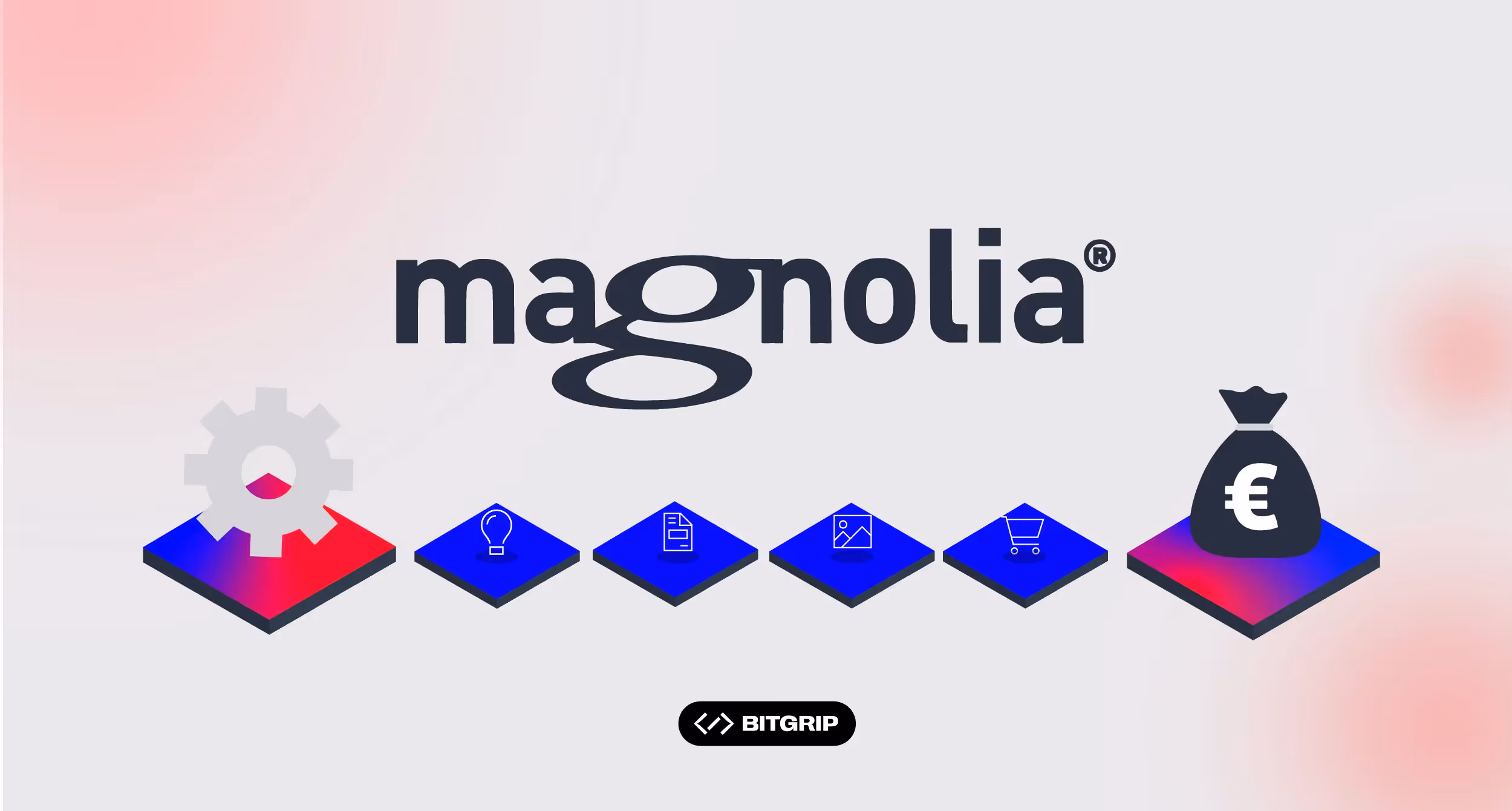 Community oder Enterprise? So wählst du die richtige Magnolia CMS Version für dein B2B-Unternehmen