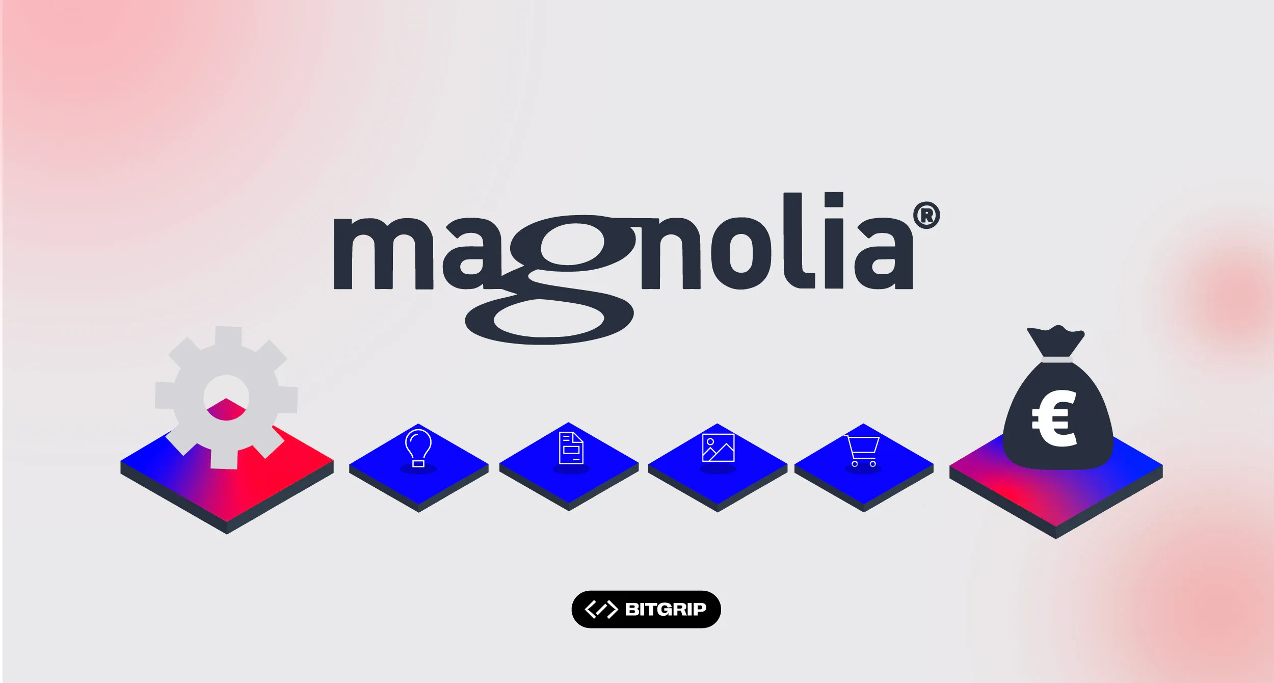 Community oder Enterprise? So wählst du die richtige Magnolia CMS Version für dein B2B-Unternehmen