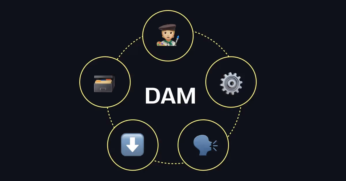 DAM-Software-Systen