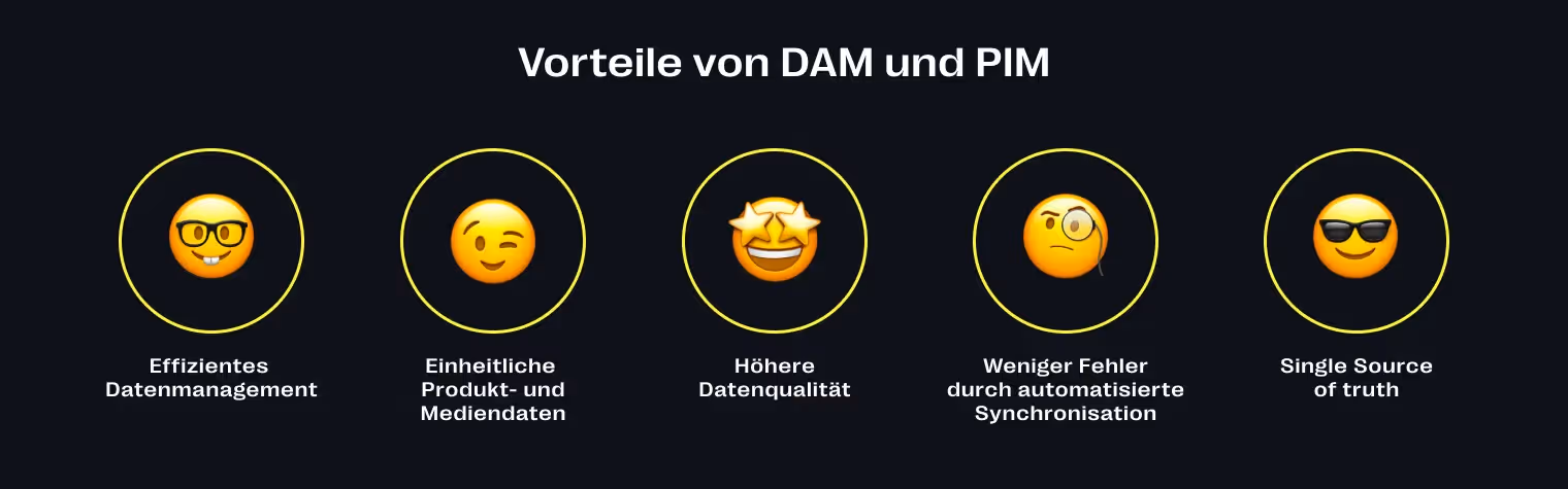 Vorteile von DAM und PIM in Kombination