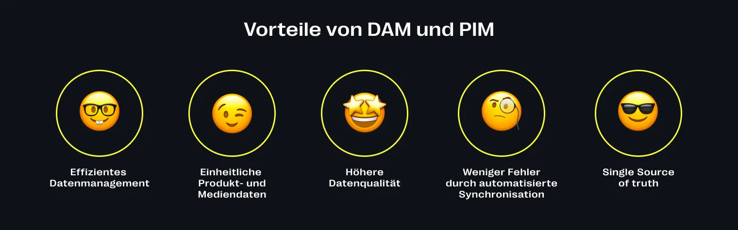 Vorteile von DAM und PIM in Kombination
