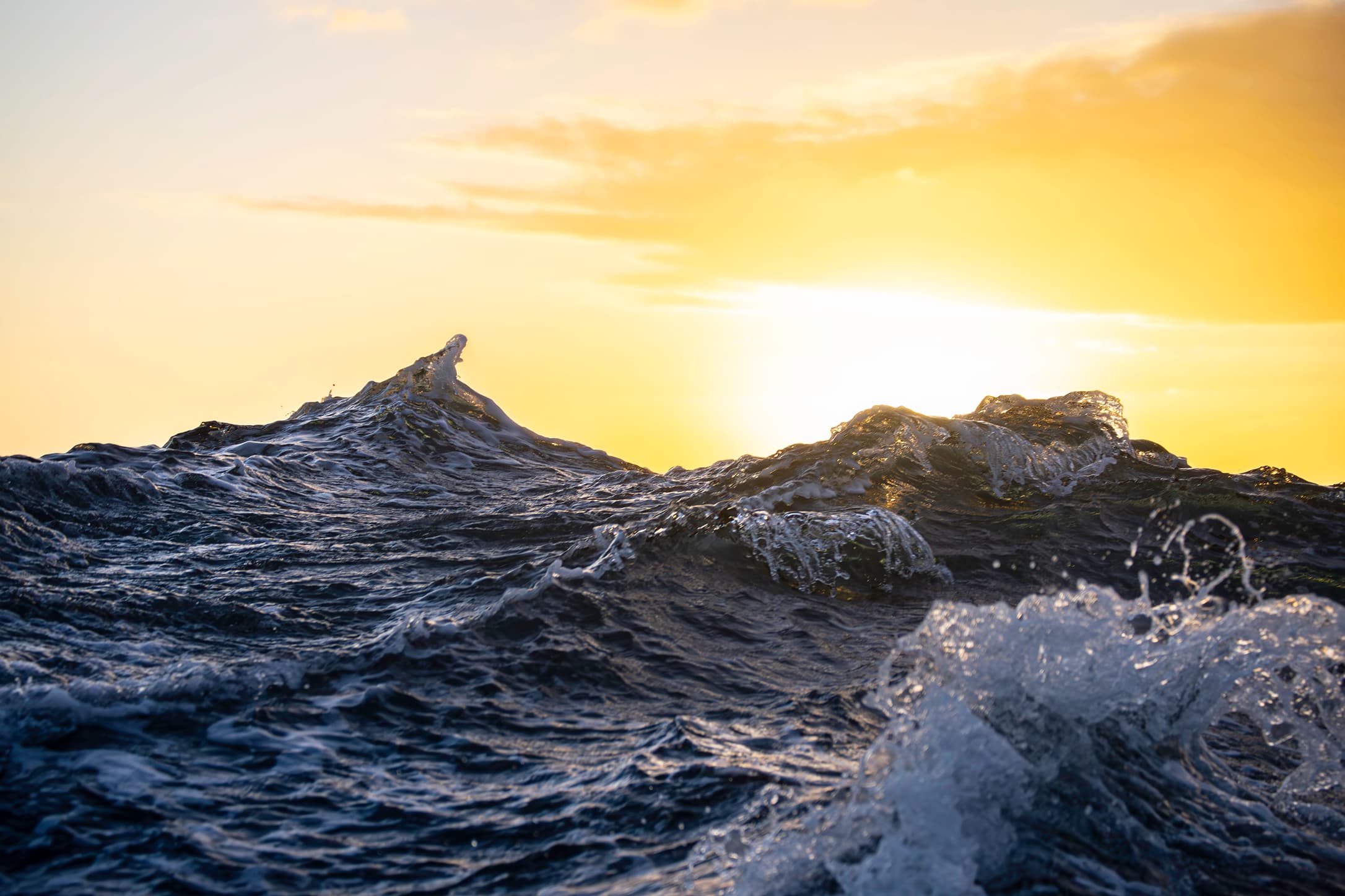 award winning ocean photo