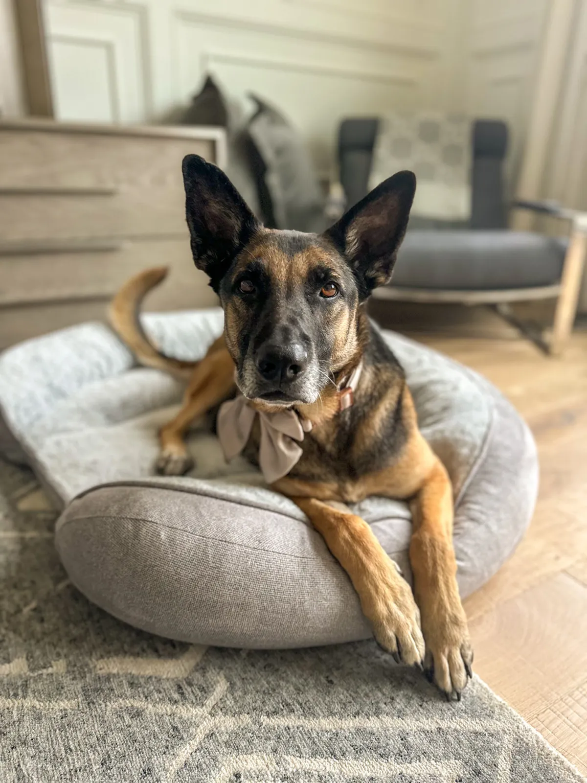 Gemma