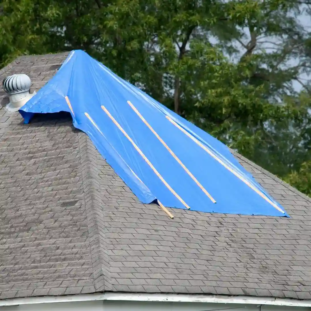 Tampa and Valrico Trusted Roofing Expert