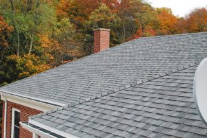 Manatee County Roofer