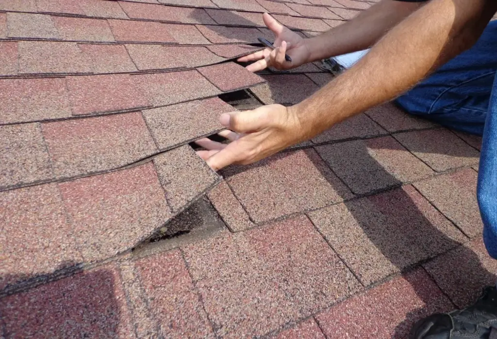 roof inspection