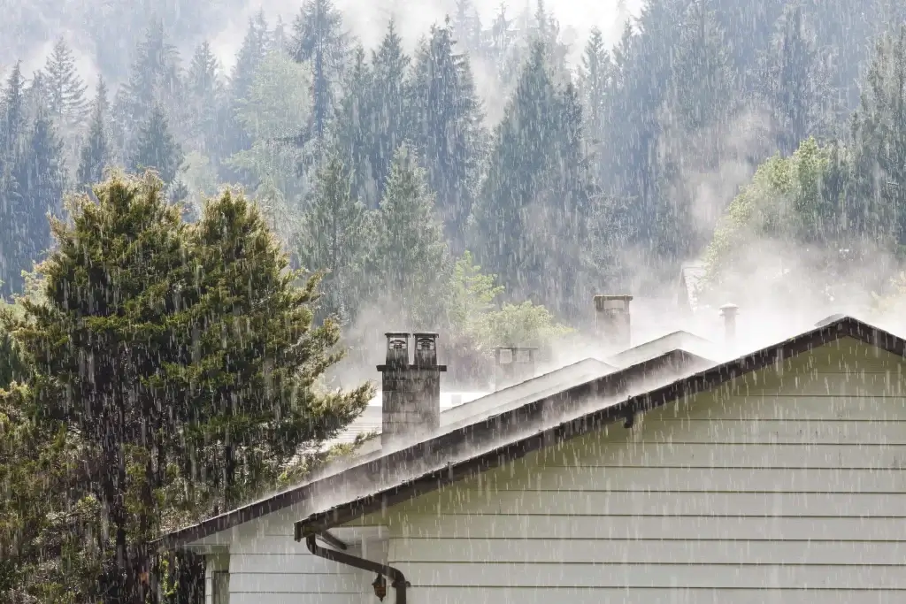 Roof Leaks in Heavy Rain