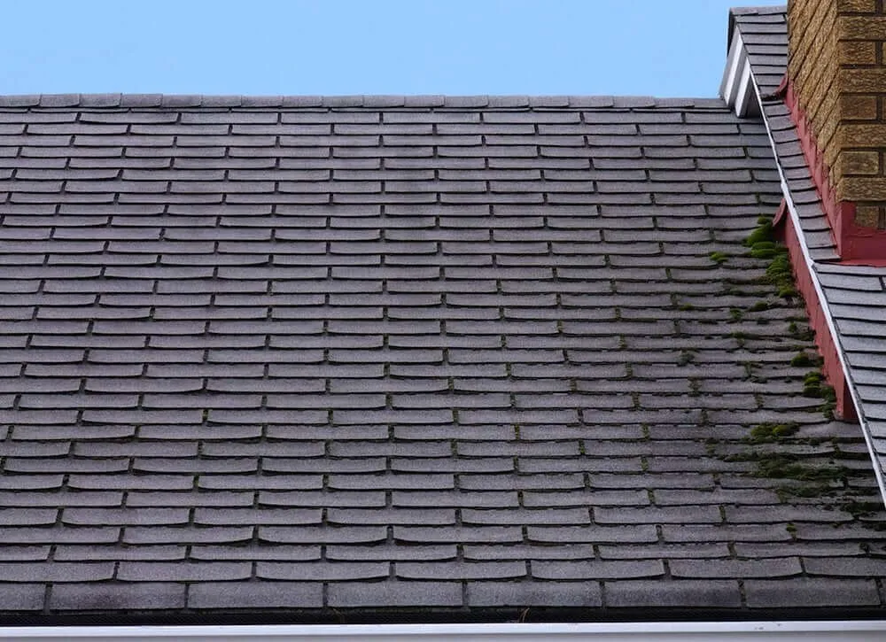New Roof Tampa