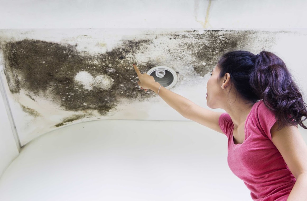 roof deck damage in Florida homes