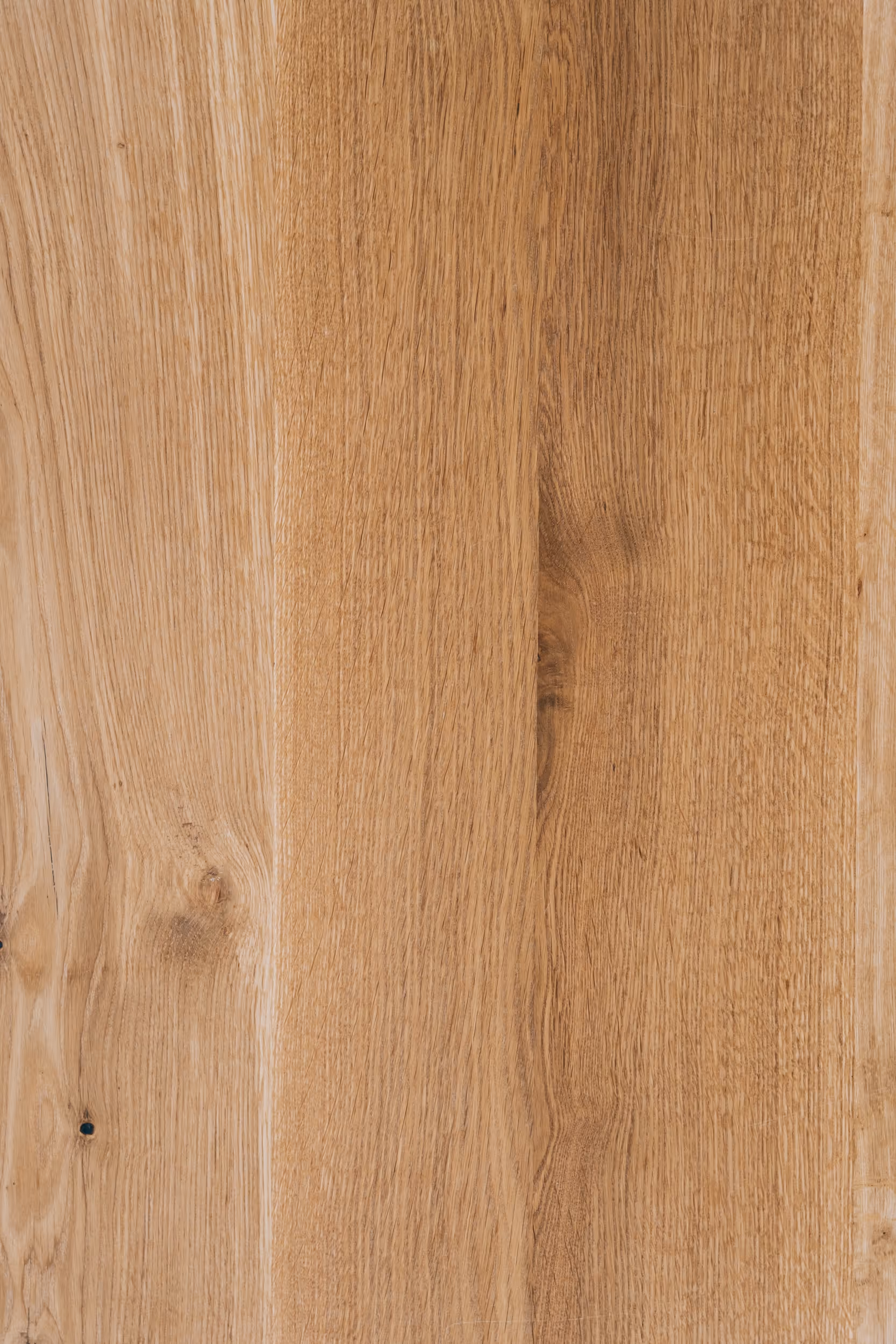 Dąb naturalny próbka