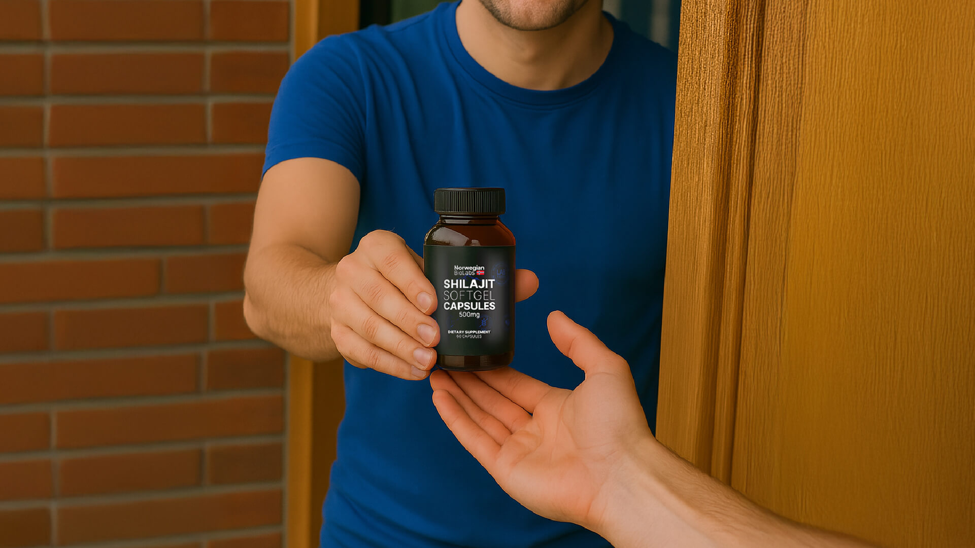 shilajit-capsules-5