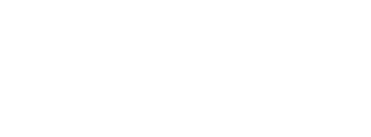 2020INC logo