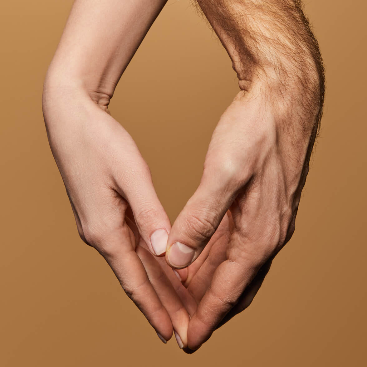 Harmonie et conflits dans le couple